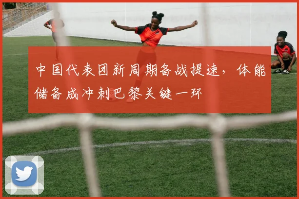 中国代表团新周期备战提速，体能储备成冲刺巴黎关键一环